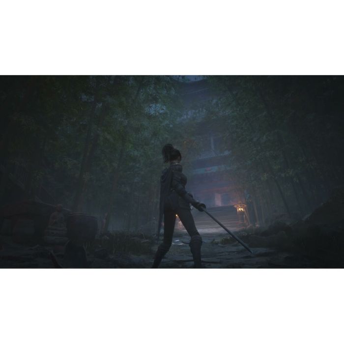 Jeu vidéo Xbox Series X Just For Games Wuchang: Fallen Feathers 10