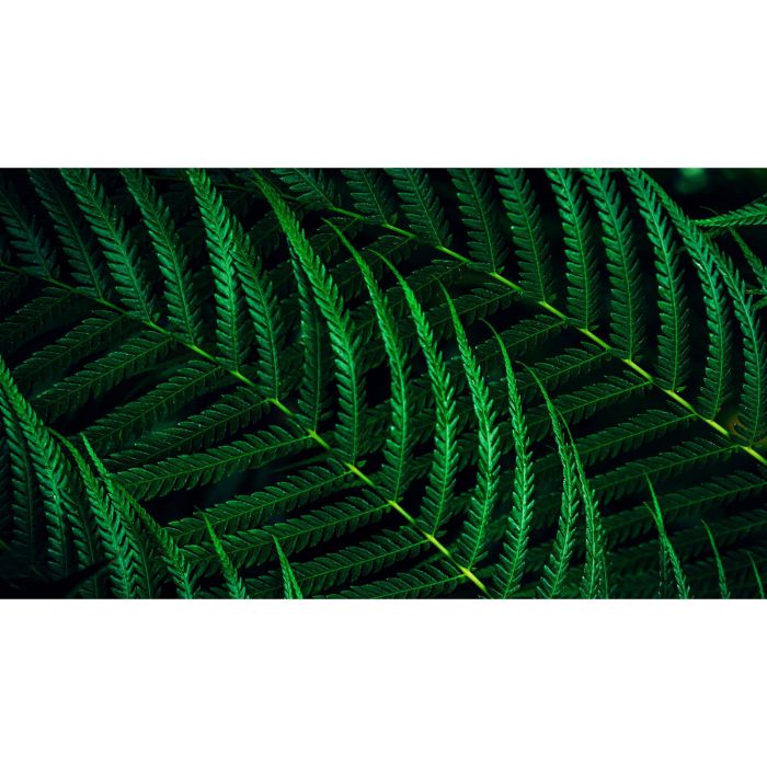 Philips 60.5cm (23.8") 24B2G5301 16:09 HDMI+DP+USB-C darkgre 6