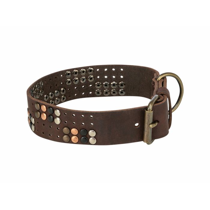 Collier pour Chien Trixie Rustic Brun foncé S-M 10