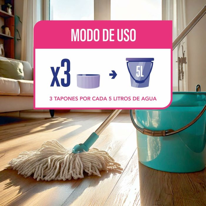 Nettoyant de Sols Asevi 1 L 2