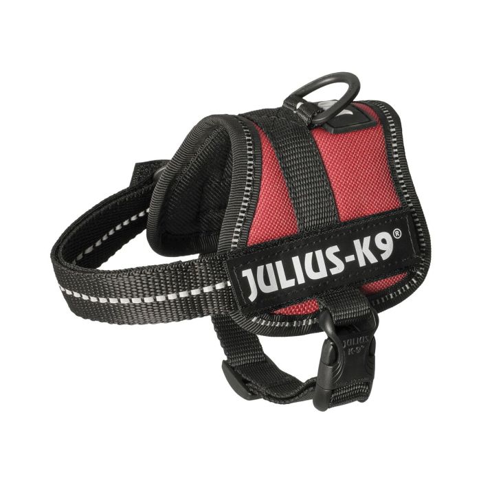 Harnais pour Chien Julius K9 Power Rouge 1 Baby 1 (XS) 9