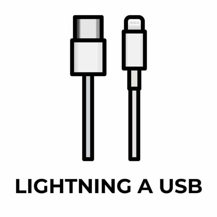 Câble USB vers Lightning Apple Blanc 1 m 1 Câble USB vers Lightning Apple Blanc 1 m 1