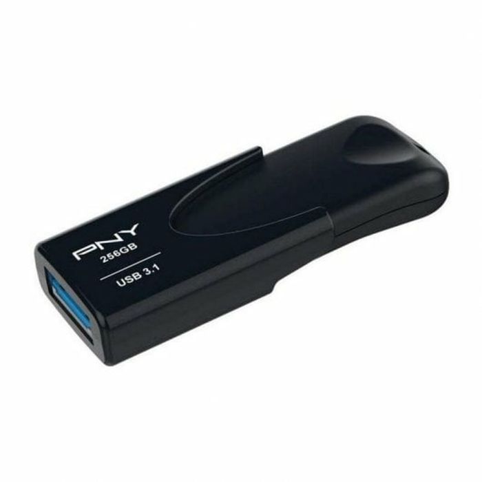 Mémoire RAM PNY Attache 4 Noir 256 GB 19