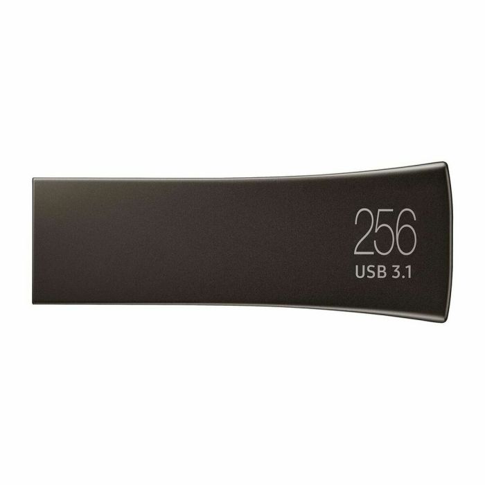 Clé USB Samsung MUF-256BE Gris 256 GB 1