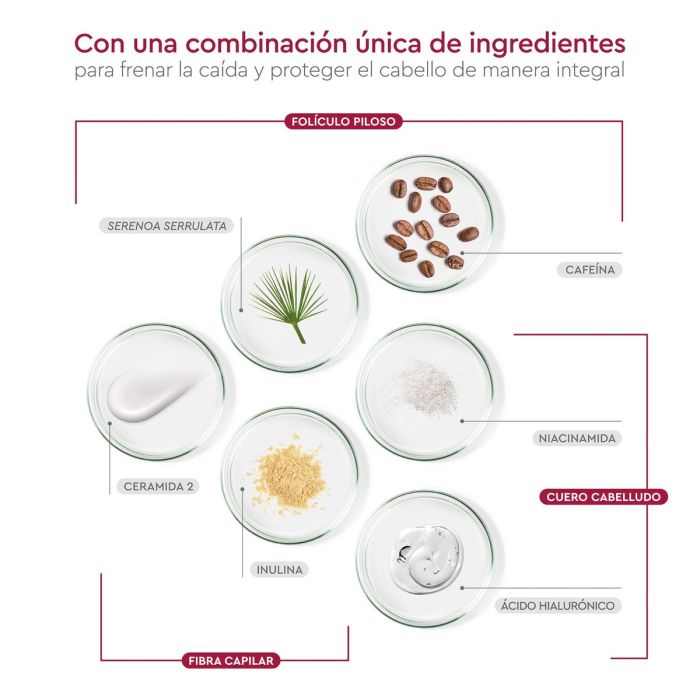 Shampooing Pilexil PILEXIL CHAMPÚ 450 ml 2 Shampooing Pilexil PILEXIL CHAMPÚ 450 ml 2