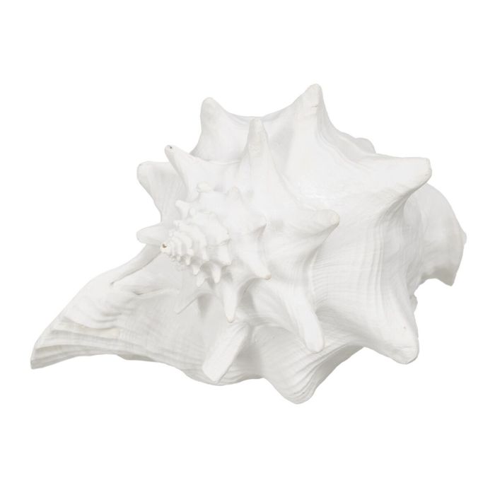 Figurine Décorative Blanc Conque 21 x 19 x 13 cm 0 Figurine Décorative Blanc Conque 21 x 19 x 13 cm 0