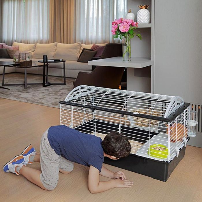 Cage Ferplast 100 Métal Plastique 96 x 57 x 56 cm 9 Cage Ferplast 100 Métal Plastique 96 x 57 x 56 cm 9