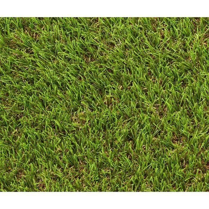 Gazon - EXELGREEN - 124414 - Natura 2D - 38mm / 1 x 5 m 0 Gazon - EXELGREEN - 124414 - Natura 2D - 38mm / 1 x 5 m 0