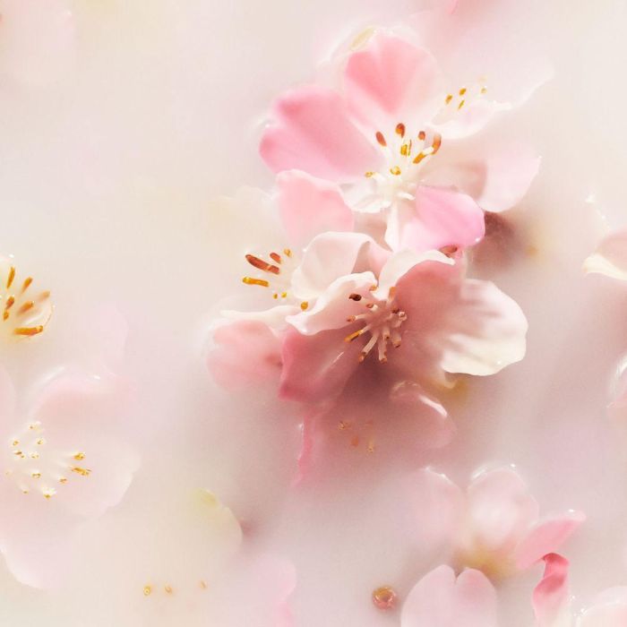 Rituals Le Rituel De Sakura Désodorisant Voiture 2 X 3 gr 2 Rituals Le Rituel De Sakura Désodorisant Voiture 2 X 3 gr 2