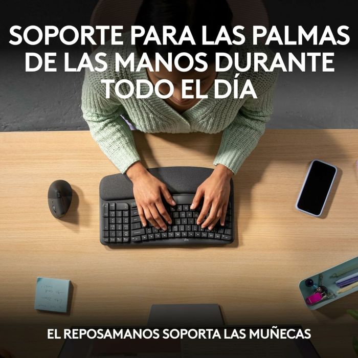 Clavier Logitech 920-012296 Graphite Espagnol QWERTY 17