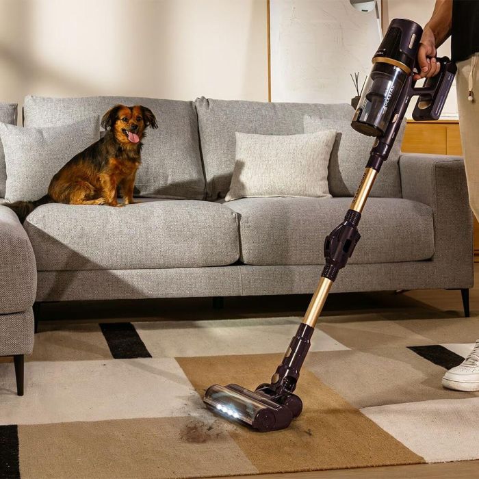 Aspirateur balai Cecotec Conga Rockstar RS70 Pet Flex 480 W 9