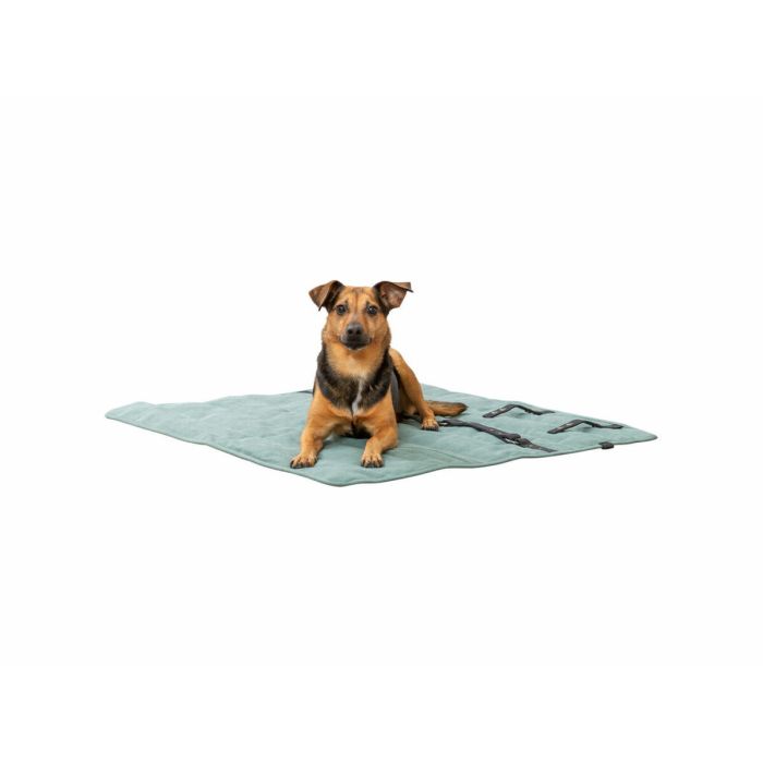 Couverture pour animaux de compagnie Trixie CityStyle Vert Polyester Coton 80 × 80 cm 9 Couverture pour animaux de compagnie Trixie CityStyle Vert Polyester Coton 80 × 80 cm 9