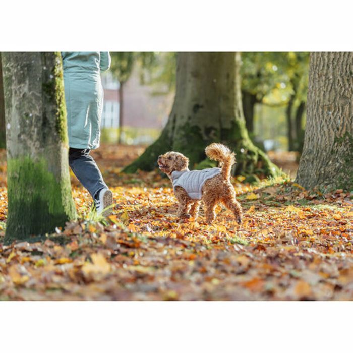 Manteau pour Chien Trixie Gris S 1