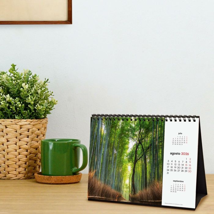 Calendrier de bureau Finocam Multicouleur Papier 21 x 15 cm 1