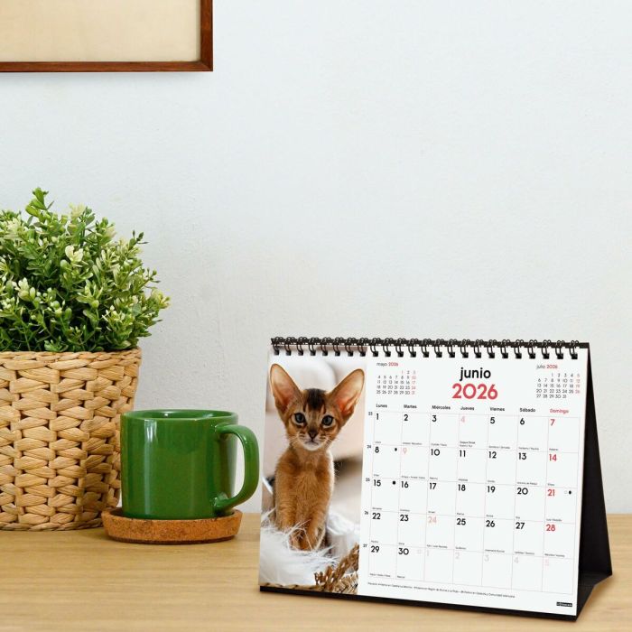 Calendrier de bureau Finocam Multicouleur Papier 21 x 15 cm 2