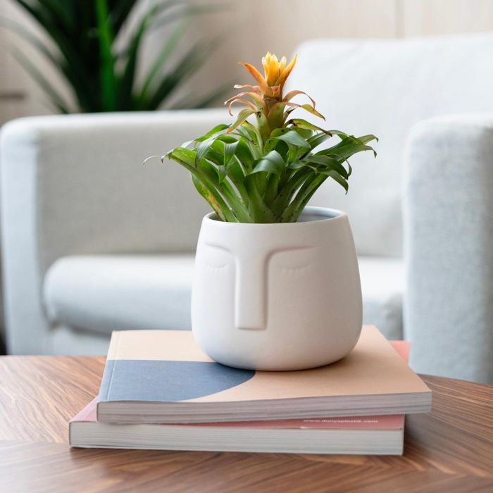 Macetero Caras Cerámico Moa Vinthera 10,5x10,5 cm (6 Unidades) 2 Macetero Caras Cerámico Moa Vinthera 10,5x10,5 cm (6 Unidades) 2