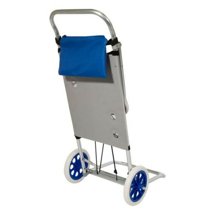Chariot de plage polyvalent Colorbaby Aluminium 6