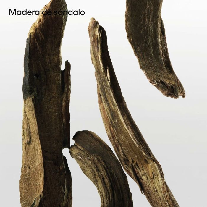 Parfum Unisexe Calvin Klein CK 200 ml 6