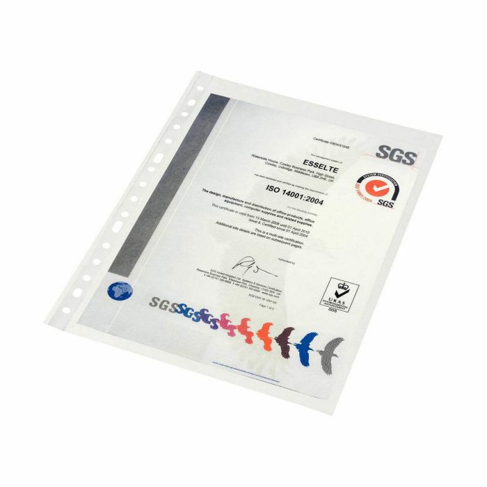 Housses Esselte Transparent A4 polypropylène 1
