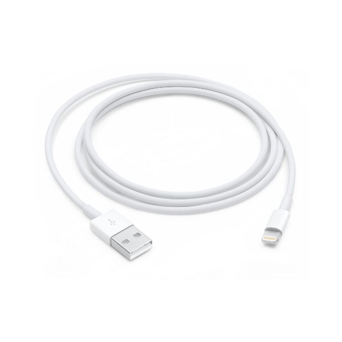 Câble USB vers Lightning Apple Blanc 1 m 6 Câble USB vers Lightning Apple Blanc 1 m 6