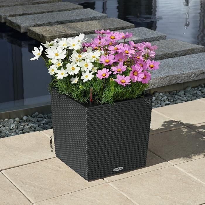 LECHUZA Pot de fleurs - Cube cottage 40 - 39,0 x 39,0 x 40 cm - 31 L - Kit complet - Granit 1 LECHUZA Pot de fleurs - Cube cottage 40 - 39,0 x 39,0 x 40 cm - 31 L - Kit complet - Granit 1