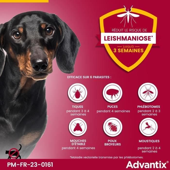 Advantix Chien Solution Antiparasitaire Petite Race 4 a 10kg 6 pipettes 3 Advantix Chien Solution Antiparasitaire Petite Race 4 a 10kg 6 pipettes 3
