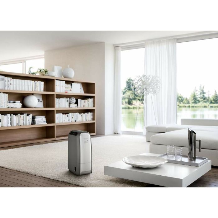 Déshumidificateur DeLonghi DNS 80 18