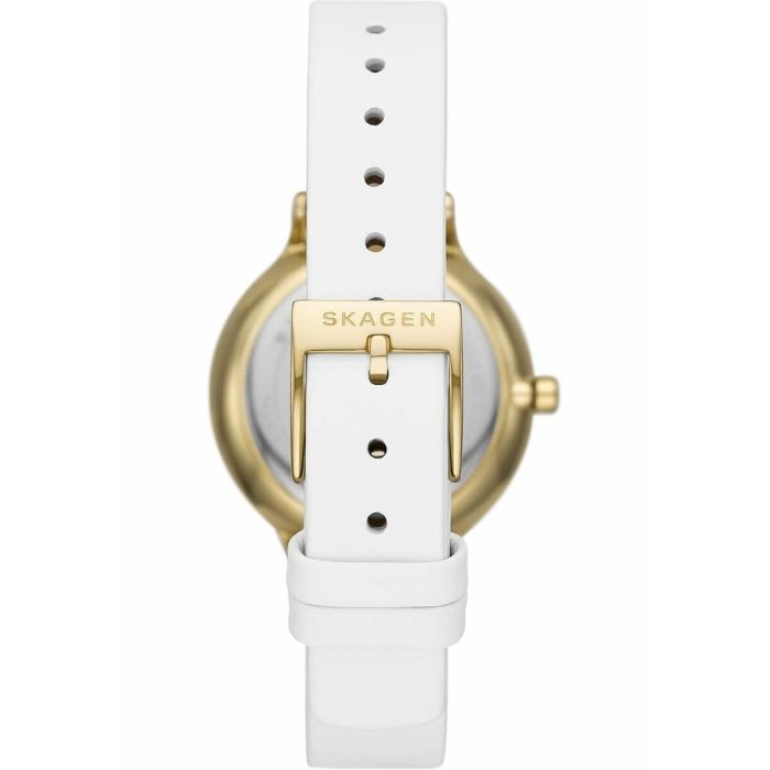 Montre Femme Skagen SKW3138 4