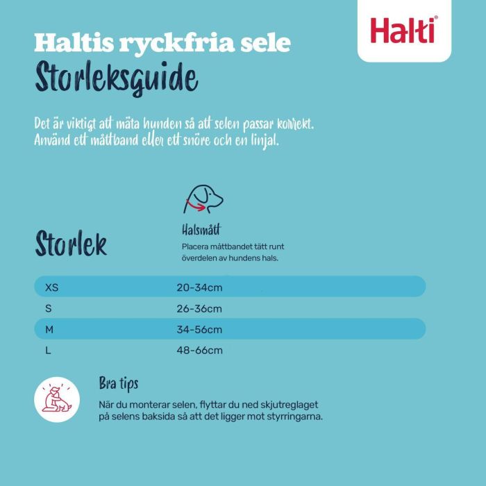 Harnais pour Chien Company of Animals Blue 20 8