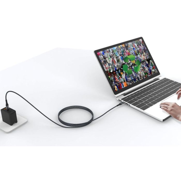 Câble USB-C vers USB-C Muvit MC147-R-A Gris 11