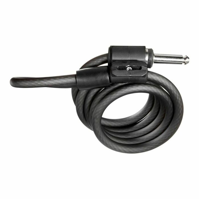 Câble avec cadenas Kryptonite KRY002253 Noir 10 mm x 120 cm