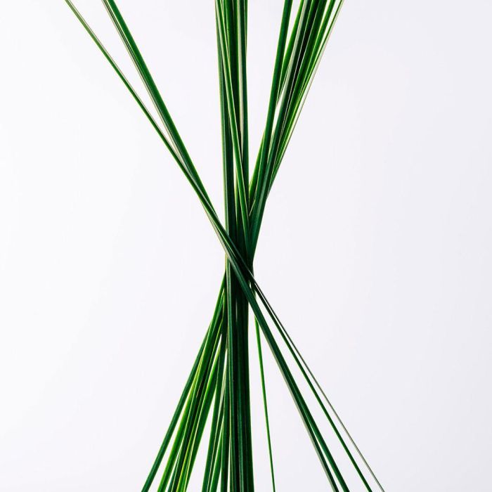 Coffret Cadeau Loewe Essence Edt 100 mL 3 Unidades 2