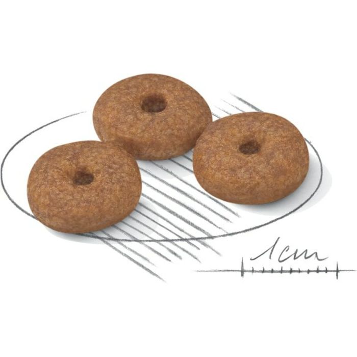 Nourriture Royal Canin Mini Ageing 12+ Adulte Senior Oiseaux 3,5 g 2