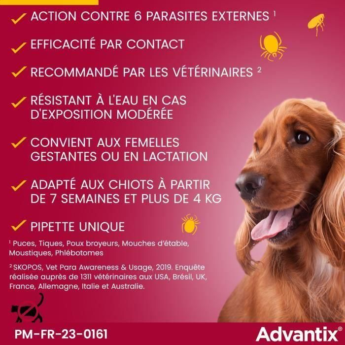 ADVANTIX Chien Solution Antiparasitaire Petite Race 4 a 10kg 4 pipettes 4 ADVANTIX Chien Solution Antiparasitaire Petite Race 4 a 10kg 4 pipettes 4