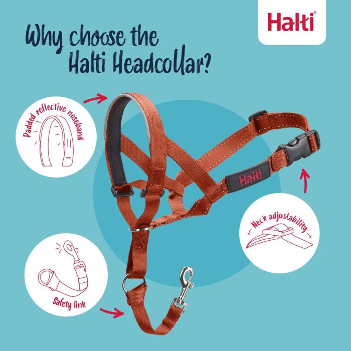 Muselière Company of Animals BURNT Orange Taille 1 8