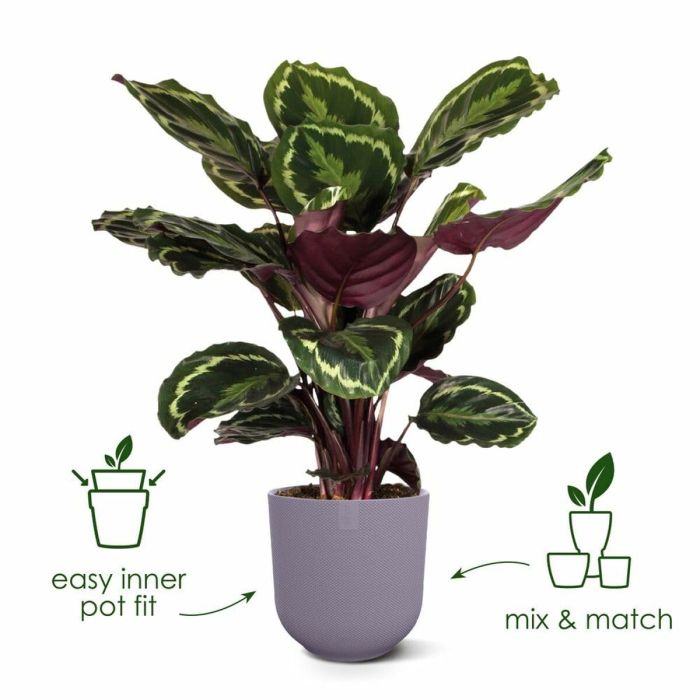 Pot Elho Jazz Blanc Lila Plastique Rond 3 Pièces 14