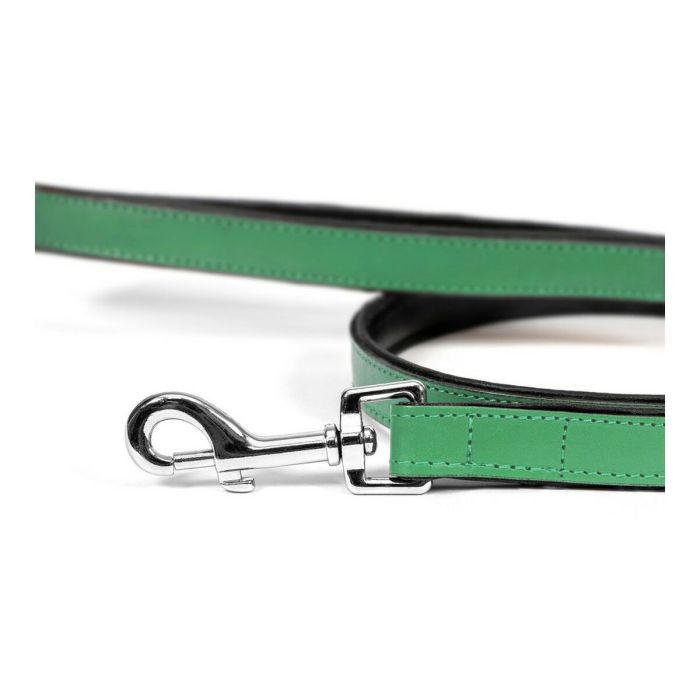 Laisse pour Chien Gloria 1.8 x 100 cm Vert 4 Laisse pour Chien Gloria 1.8 x 100 cm Vert 4