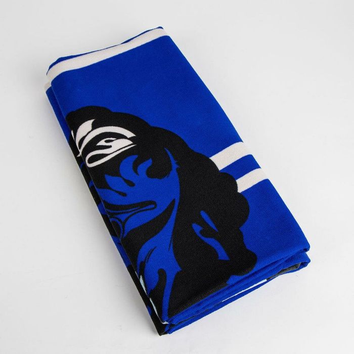Serviette de plage Harry Potter Bleu 90 x 180 cm 1