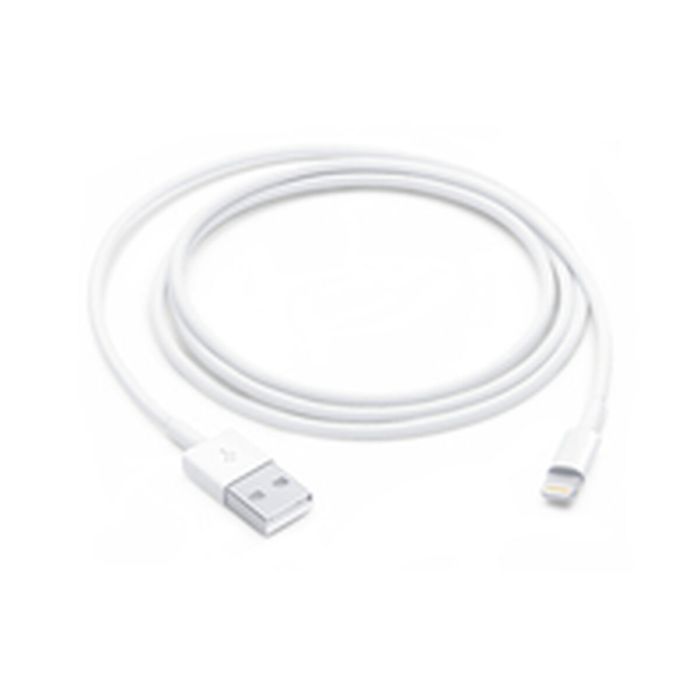 Câble USB vers Lightning Apple Blanc 1 m 13 Câble USB vers Lightning Apple Blanc 1 m 13