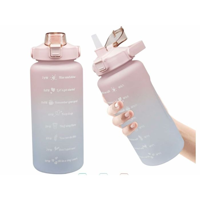 Bouteille d'eau Lifetime 2 L Plastique 2