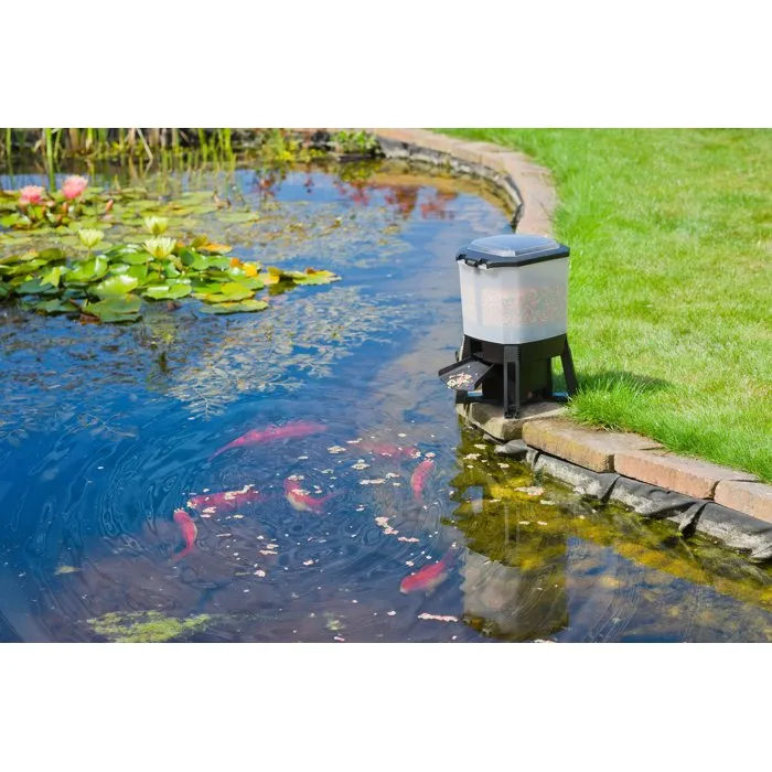 Ubbink Distributeur Automatique de Nourriture pour Poissons Solaire - Réservoir 6 L, 1 à 6 Nourrissages/Jour, Portée Réglable 1 à 3 m, Pour Bassins Jusqu'à 30 m³