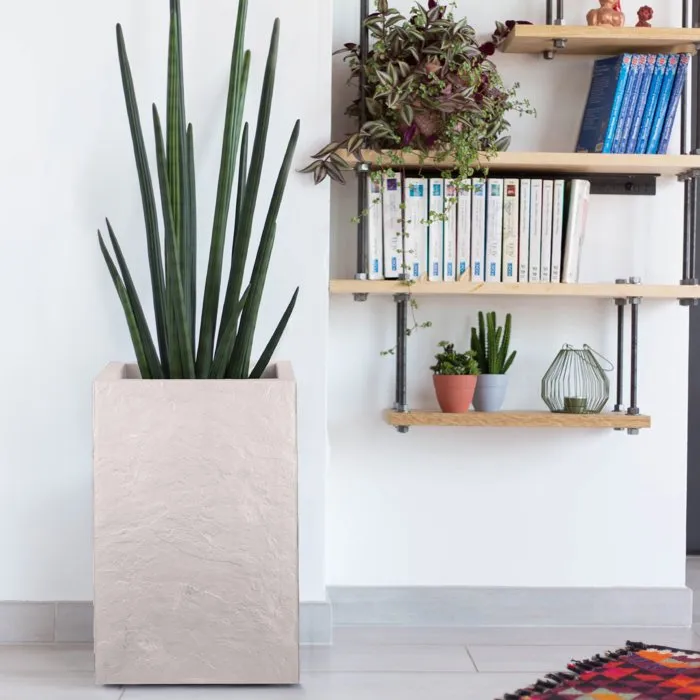 Eda - EDA Volcania Up - Pot de fleur carré 36 L - 29.5 x 29.5 x 49.5 cm - Beige Calcaire - Pour intérieur et extérieur Eda - EDA Volcania Up - Pot de fleur carré 36 L - 29.5 x 29.5 x 49.5 cm - Beige Calcaire - Pour intérieur et extérieur