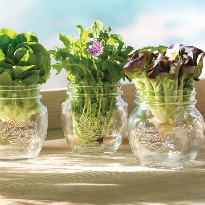 Tarro Conserva Vidrio Quattro Stagioni Bormioli Rocco 15 cL 3