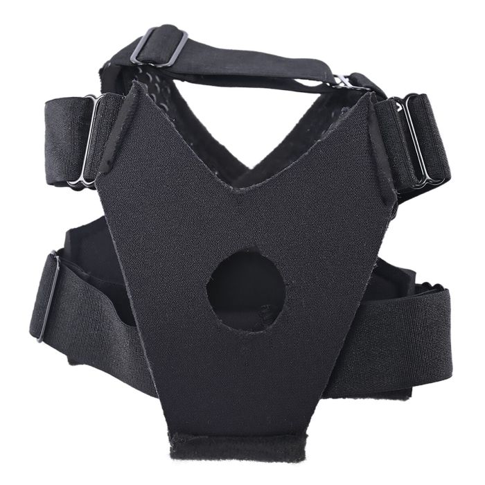 Harnais New Comers Sportsheets Pivot Bleu 7 Harnais New Comers Sportsheets Pivot Bleu 7