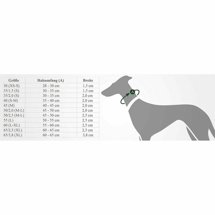 Collier pour Chien Hunter Noir 2 Collier pour Chien Hunter Noir 2