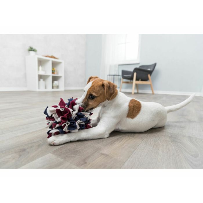 Jouet pour chien Trixie Polyester Ø 15 cm 4
