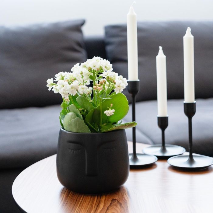 Macetero Caras Cerámico Moa Vinthera 13,5x13 cm (12 Unidades) 3