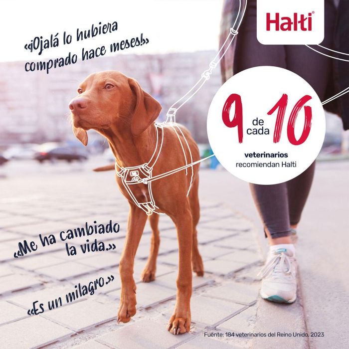 Harnais pour Chien Company of Animals FOREST Vert L 7