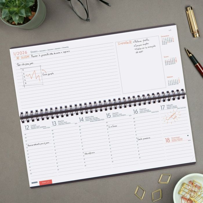 Organisateur Finocam Gris Papier 29 x 11,6 cm 1 Organisateur Finocam Gris Papier 29 x 11,6 cm 1