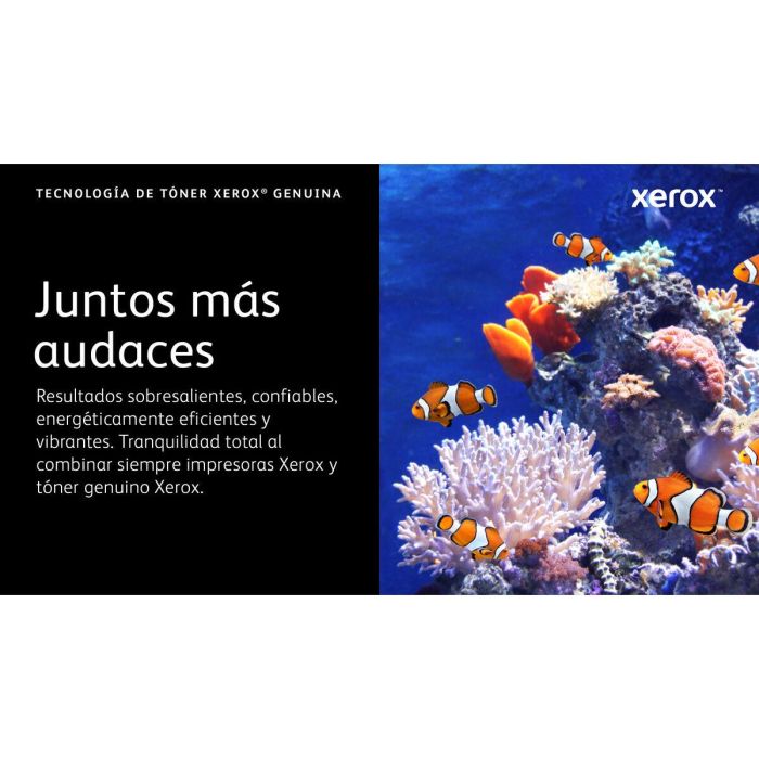 Toner Xerox 006R04626 Noir Magenta (1 Unité) 10